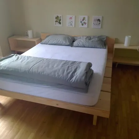 Apartment Sunny Center