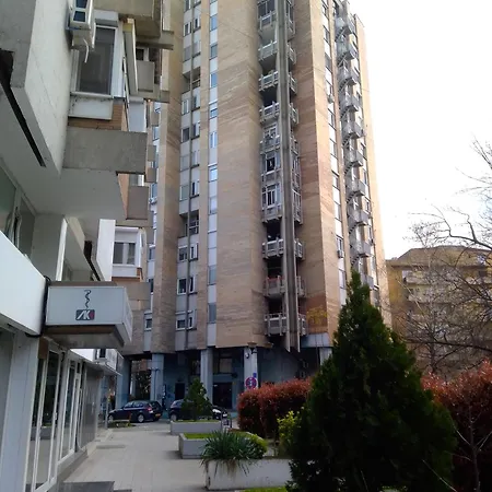 Sunny Center
