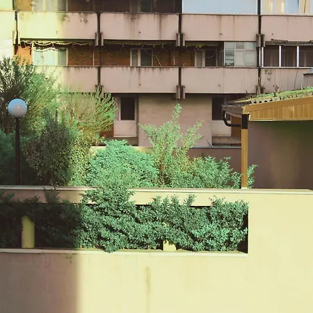 Apartament Sunny Center *